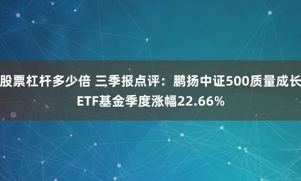 股票杠杆多少倍 三季报点评：鹏扬中证500质量成长ETF基金季度涨幅22.66%