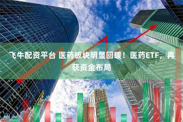 飞牛配资平台 医药板块明显回暖！医药ETF，再获资金布局